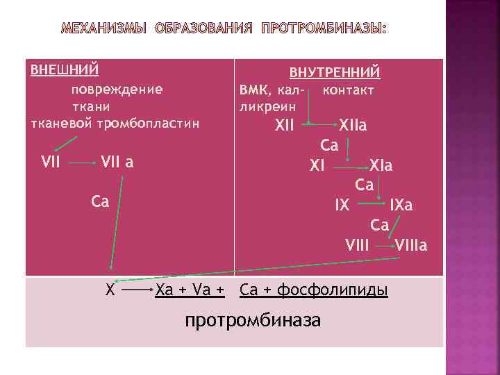 ВНЕШНИЙ повреждение ткани тканевой тромбопластин VII а ВНУТРЕННИЙ ВМК, кал- контакт ликреин XIIa Ca
