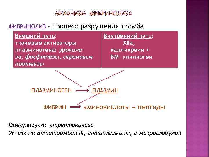 ФИБРИНОЛИЗ - процесс разрушения тромба Внешний путь: тканевые активаторы плазминогена: урокиназа, фосфотазы, сериновые протеазы