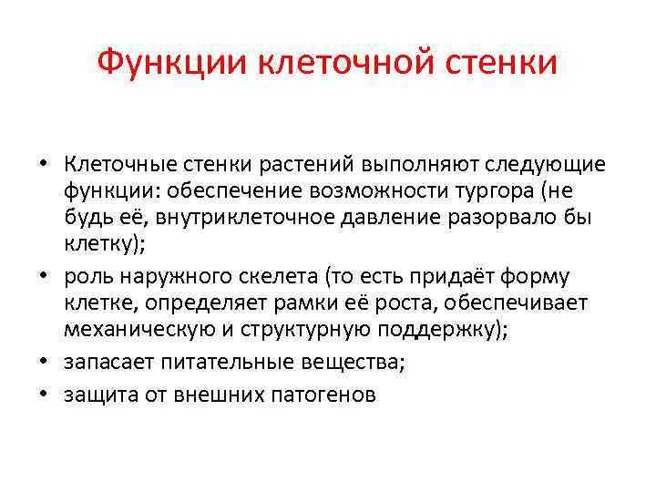 Функции клеточной стенки • Клеточные стенки растений выполняют следующие функции: обеспечение возможности тургора (не
