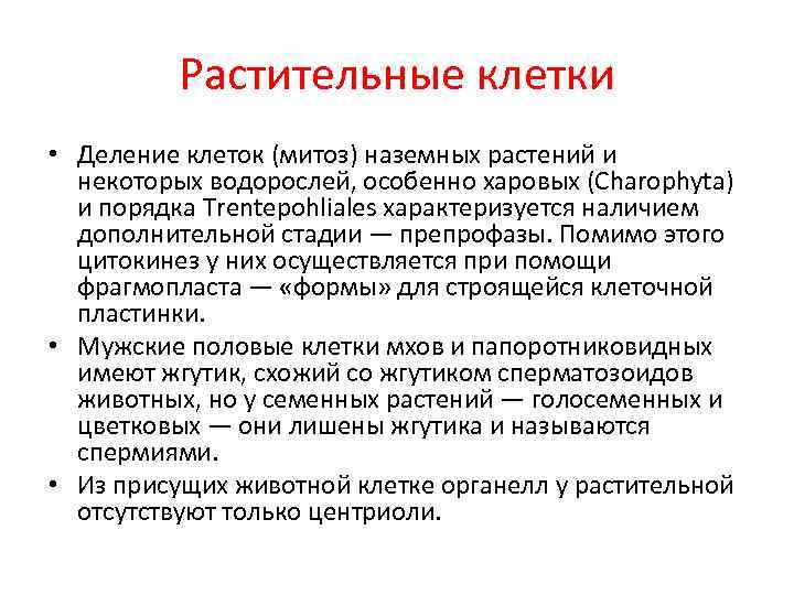 Растительные клетки • Деление клеток (митоз) наземных растений и некоторых водорослей, особенно харовых (Charophyta)