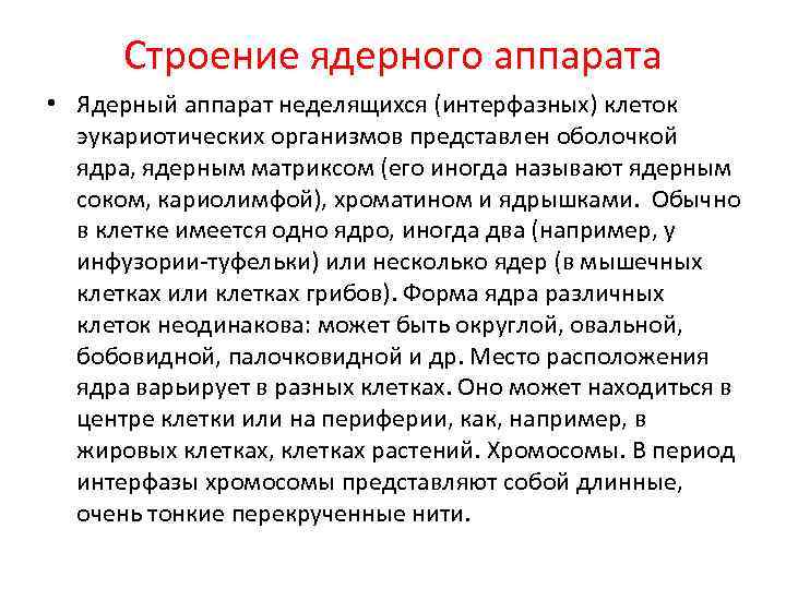 Строение ядерного аппарата • Ядерный аппарат неделящихся (интерфазных) клеток эукариотических организмов представлен оболочкой ядра,