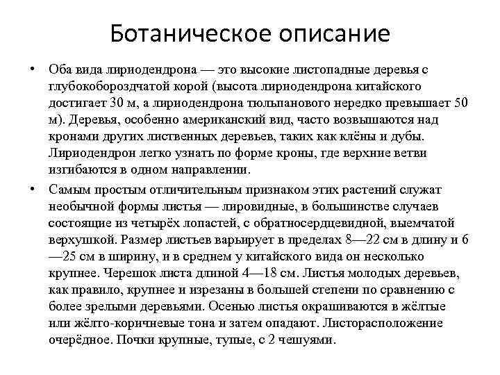 Ботаническое описание • Оба вида лириодендрона — это высокие листопадные деревья с глубокобороздчатой корой