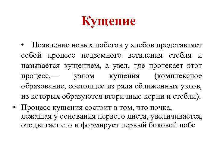 Кущение • Появление новых побегов у хлебов представляет собой процесс подземного ветвления стебля и
