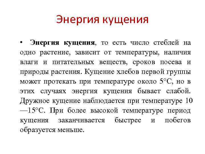 Энергия кущения • Энергия кущения, то есть число стеблей на одно растение, зависит от