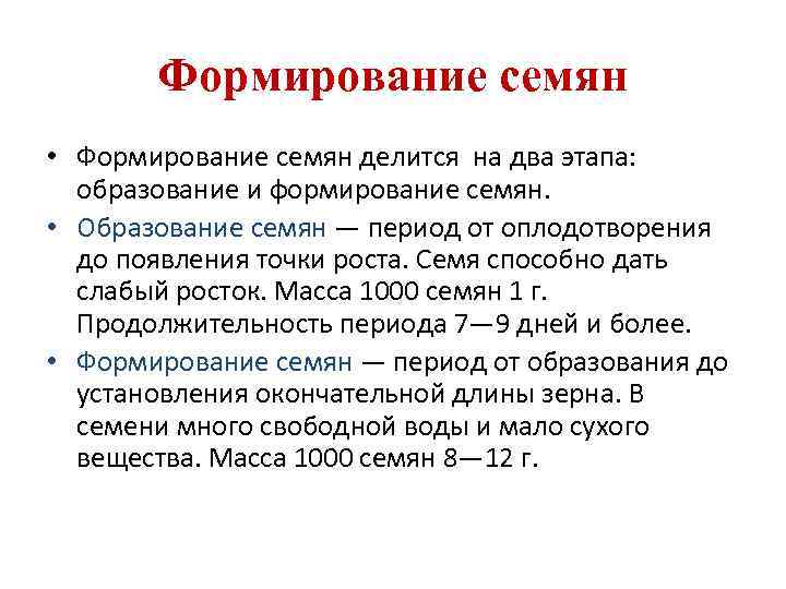 Формирование семян • Формирование семян делится на два этапа: образование и формирование семян. •