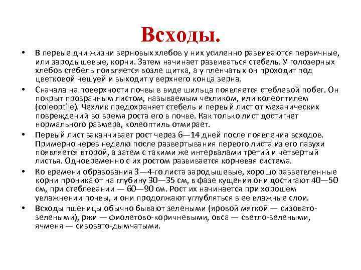 Всходы. • • • В первые дни жизни зерновых хлебов у них усиленно развиваются