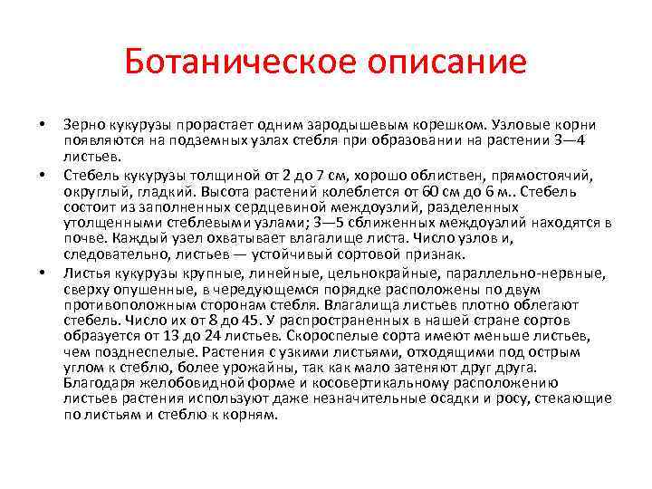 Ботаническое описание • • • Зерно кукурузы прорастает одним зародышевым корешком. Узловые корни появляются