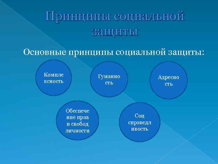 Государственная политика в сфере социальной защиты населения презентация