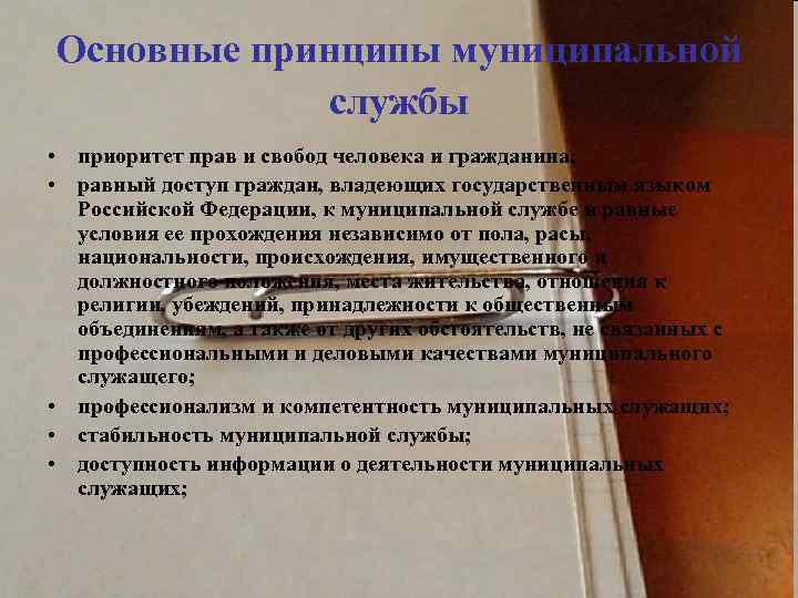 Основные принципы муниципальной службы • приоритет прав и свобод человека и гражданина; • равный