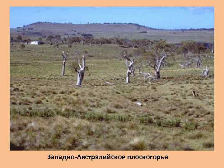 Западно-Австралийское плоскогорье 
