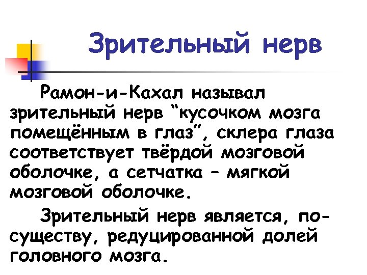 Зрительный нерв Рамон-и-Кахал называл зрительный нерв “кусочком мозга помещённым в глаз”, склера глаза соответствует