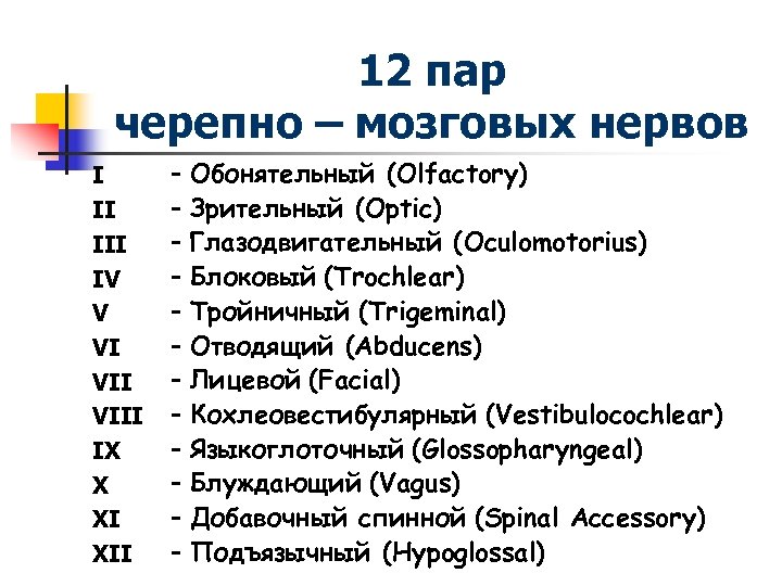 12 пар черепно – мозговых нервов I II IV V VI VIII IX X