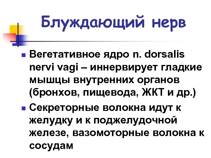 Блуждающий нерв Вегетативное ядро n. dorsalis nervi vagi – иннервирует гладкие мышцы внутренних органов