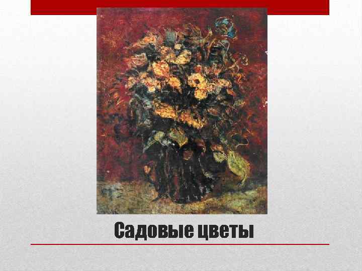 Садовые цветы 