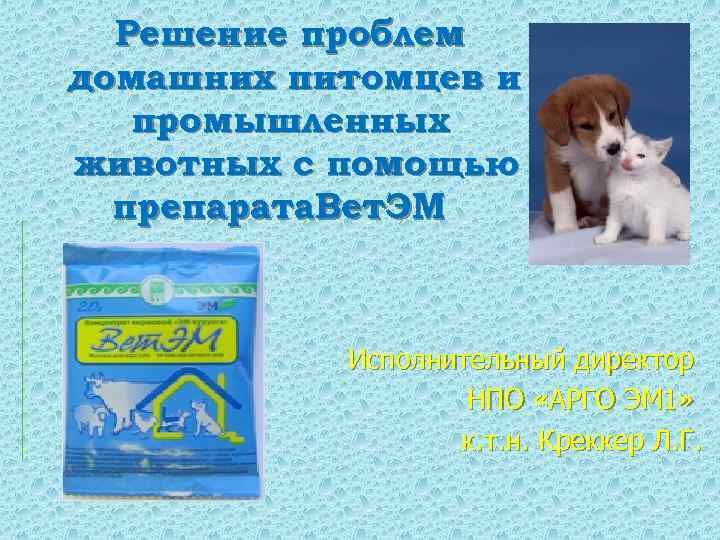 Решение проблем домашних питомцев и промышленных животных с помощью препарата. Вет. ЭМ Исполнительный директор
