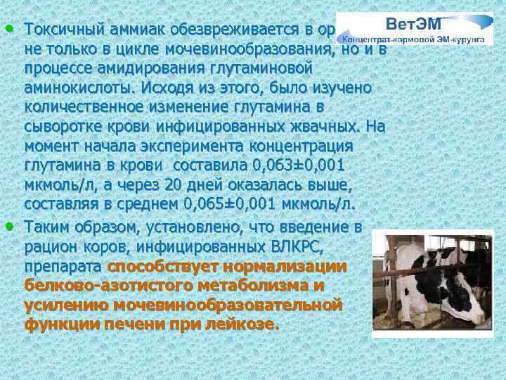  • Токсичный аммиак обезвреживается в организме • не только в цикле мочевинообразования, но