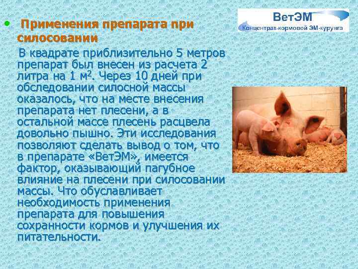  • Применения препарата при силосовании В квадрате приблизительно 5 метров препарат был внесен