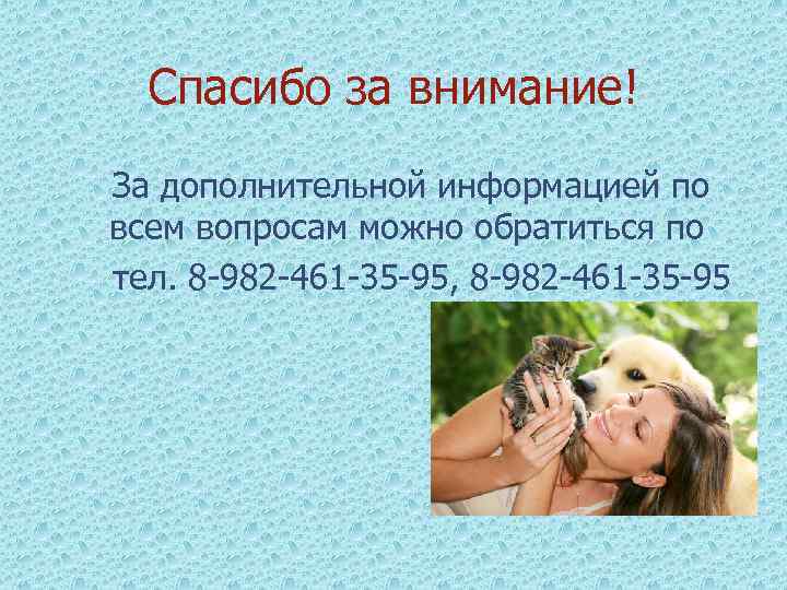 Спасибо за внимание! За дополнительной информацией по всем вопросам можно обратиться по тел. 8