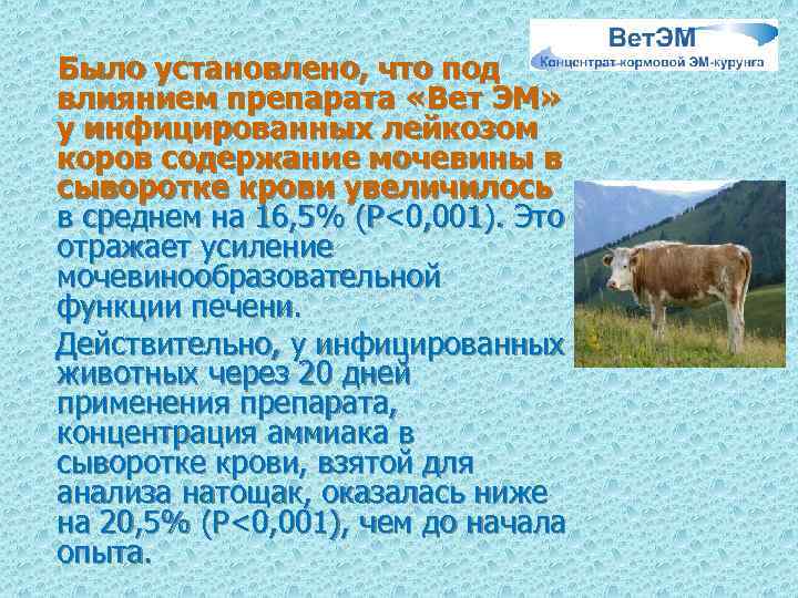 Было установлено, что под влиянием препарата «Вет ЭМ» у инфицированных лейкозом коров содержание мочевины