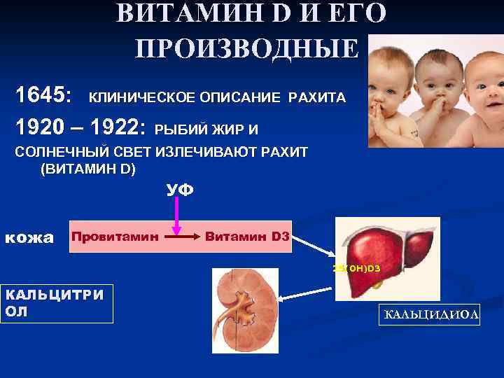 ВИТАМИН D И ЕГО ПРОИЗВОДНЫЕ 1645: КЛИНИЧЕСКОЕ ОПИСАНИЕ 1920 – 1922: РЫБИЙ ЖИР И