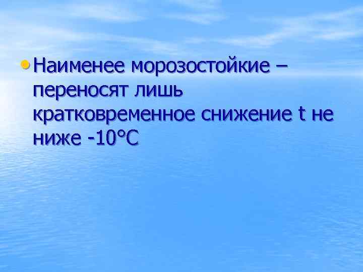  • Наименее морозостойкие – переносят лишь кратковременное снижение t не ниже -10°С 