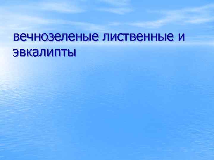 вечнозеленые лиственные и эвкалипты 