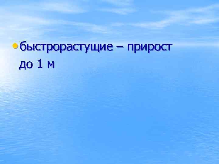  • быстрорастущие – прирост до 1 м 