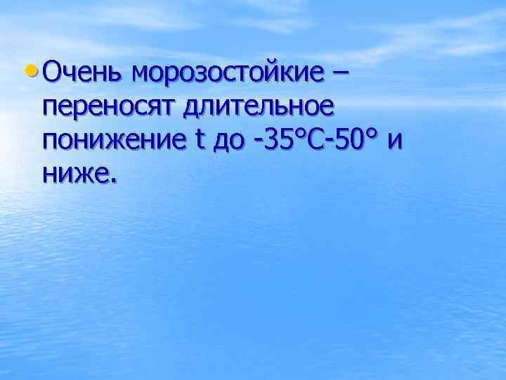  • Очень морозостойкие – переносят длительное понижение t до -35°С-50° и ниже. 