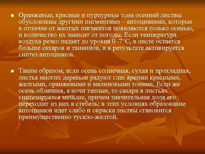 n n Оранжевые, красные и пурпурные тона осенней листвы обусловлены другими пигментами – антоцианами,