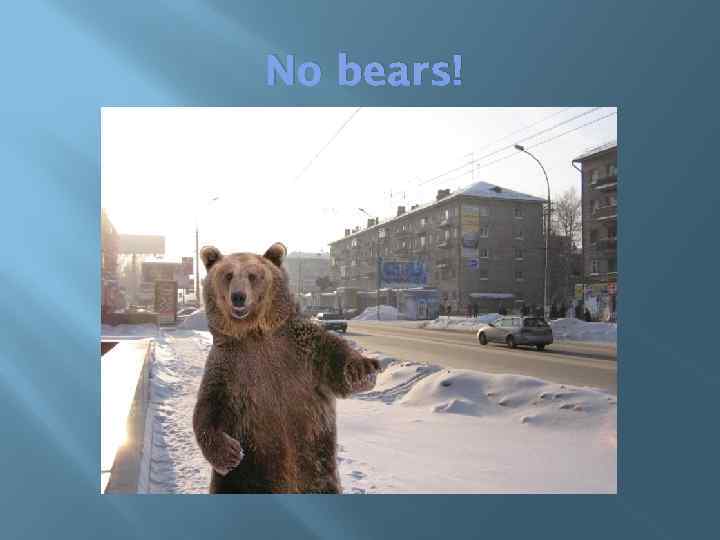 No bears! 