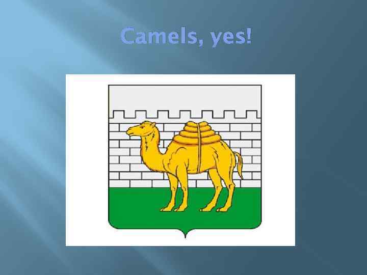 Camels, yes! 