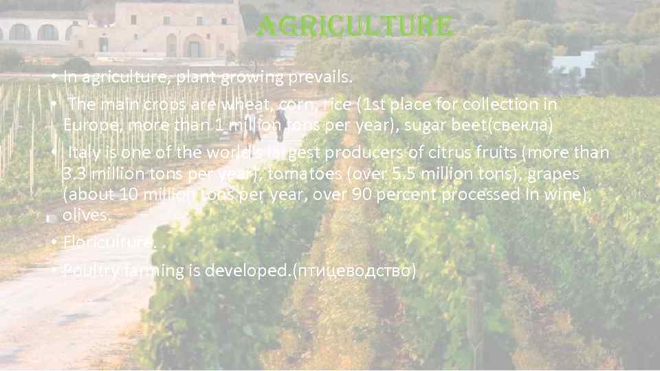 agriculture • In agriculture, plant growing prevails. • The main crops are wheat, corn,