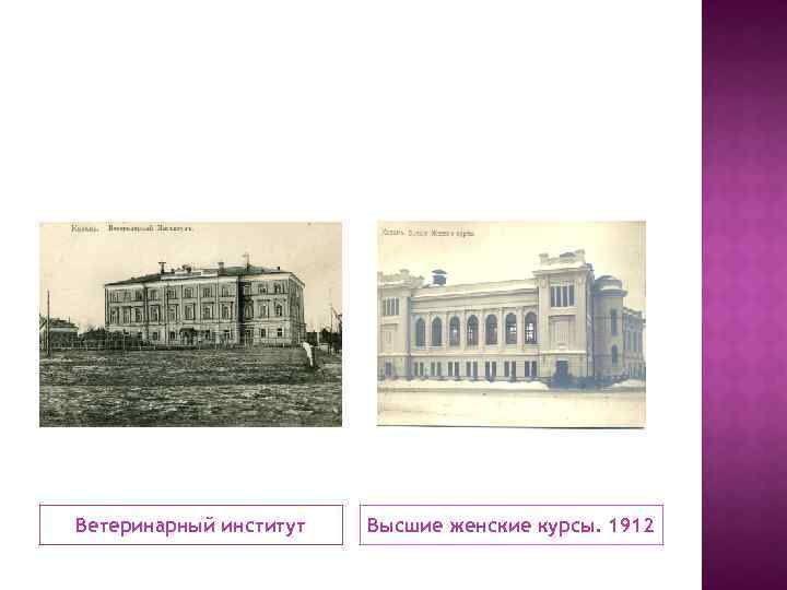 Ветеринарный институт Высшие женские курсы. 1912 