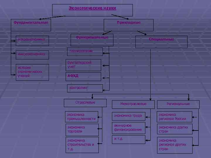 Экономические науки Фундаментальные макроэкономика микроэкономика история экономических учений Прикладные Функциональные Специальные планирование бухгалтерский учет