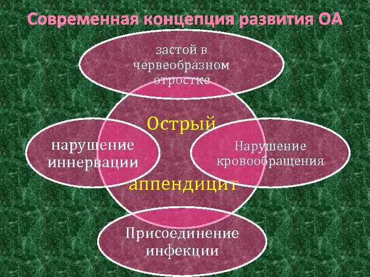 Современная концепция развития ОА застой в червеобразном отростке нарушение иннервации Острый Нарушение кровообращения аппендицит