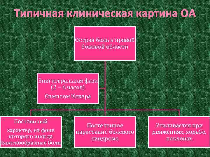 Аппендицит презентация госпитальная хирургия