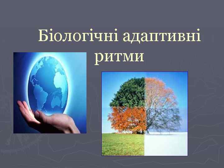 Біологічні адаптивні ритми 