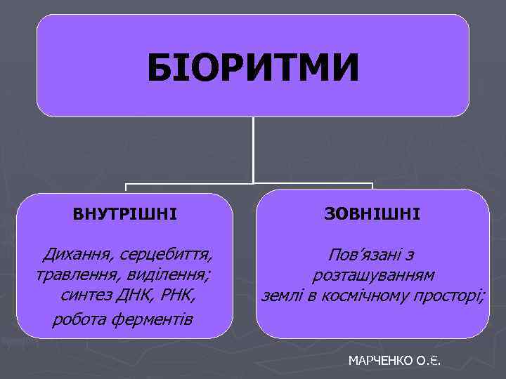 БІОРИТМИ ВНУТРІШНІ ЗОВНІШНІ Дихання, серцебиття, травлення, виділення; синтез ДНК, РНК, робота ферментів Пов’язані з