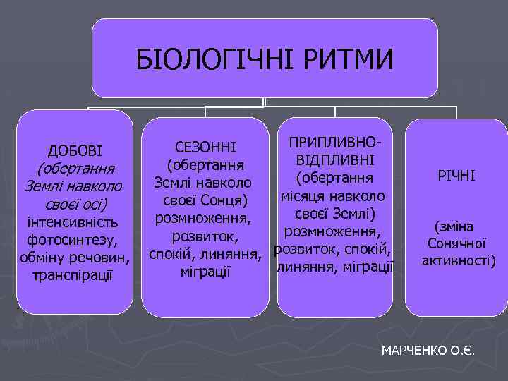 БІОЛОГІЧНІ РИТМИ ДОБОВІ (обертання Землі навколо своєї осі) інтенсивність фотосинтезу, обміну речовин, транспірації ПРИПЛИВНОСЕЗОННІ