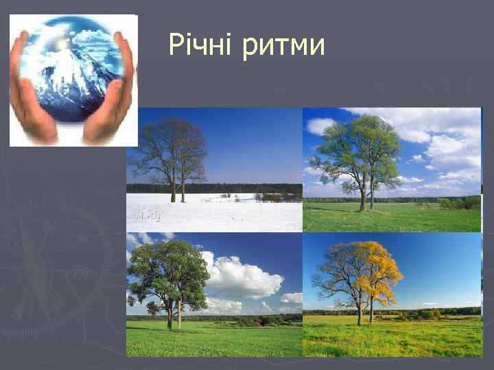 Річні ритми 