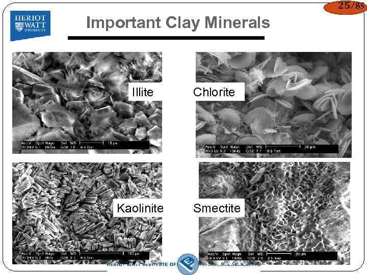 25/85 Important Clay Minerals Illite Chlorite Kaolinite Smectite 