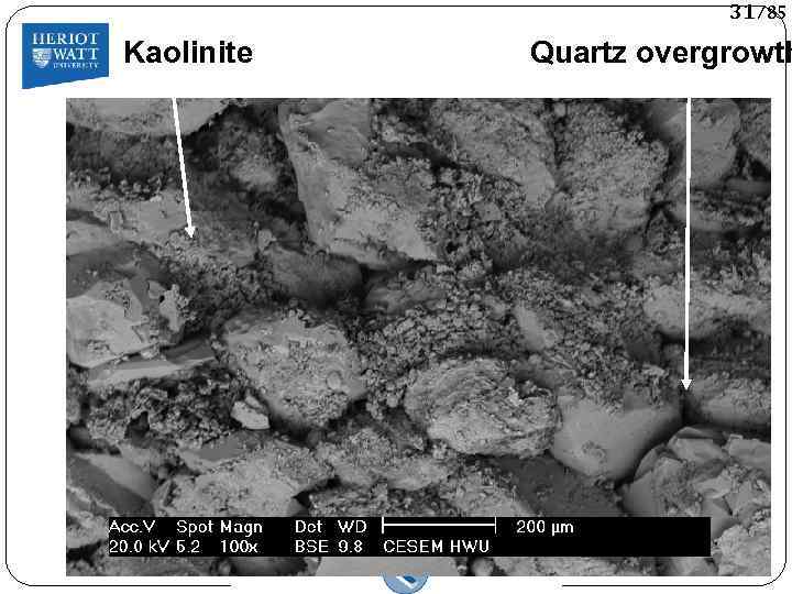 31/85 Kaolinite Quartz overgrowth 