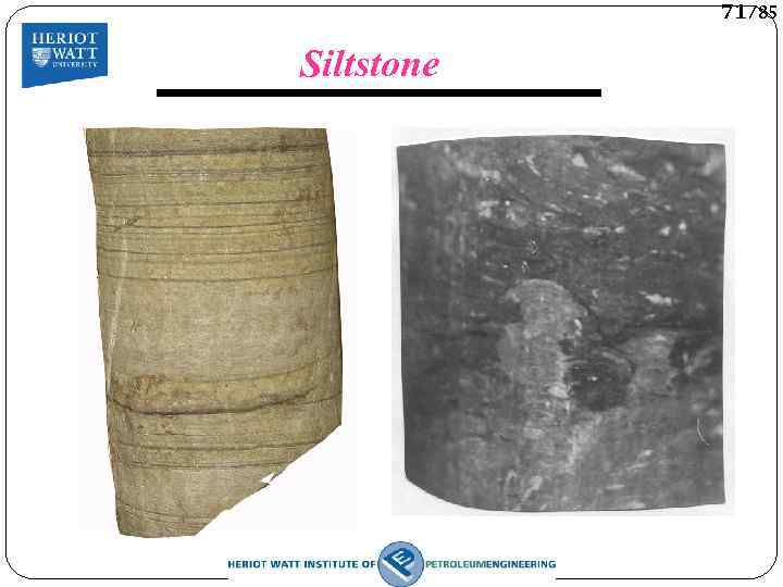 71/85 Siltstone 