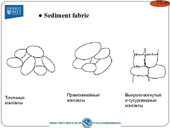 75/85 ● Sediment fabric Точечные контакты Прямолинейные контакты Выпукло-вогнутые и сутуровидные контакты 