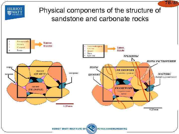 78/85 Physical components of the structure of sandstone and carbonate rocks 
