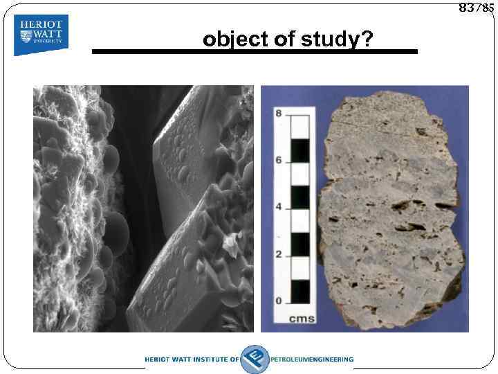 83/85 object of study? 