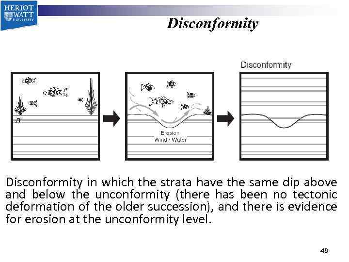 Disconformity л Disconformity in which the strata have the same dip above and below