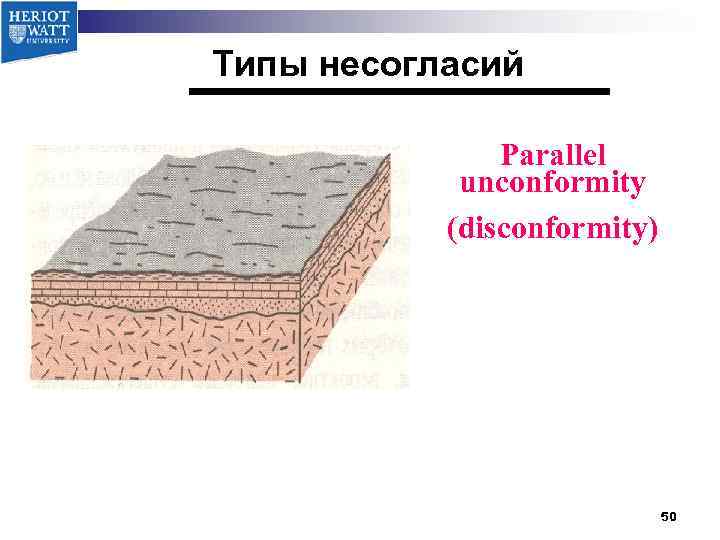 Типы несогласий Parallel unconformity (disconformity) 50 
