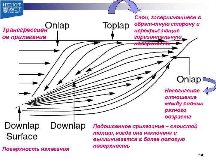 Трансгрессивн ое прилегание Слои, завершающиеся в обрат-тную сторону и перекрывающие горизонтальную поверхность Несогласное отношение