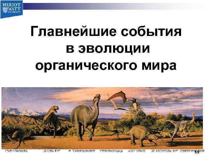 Главнейшие события в эволюции органического мира 69 